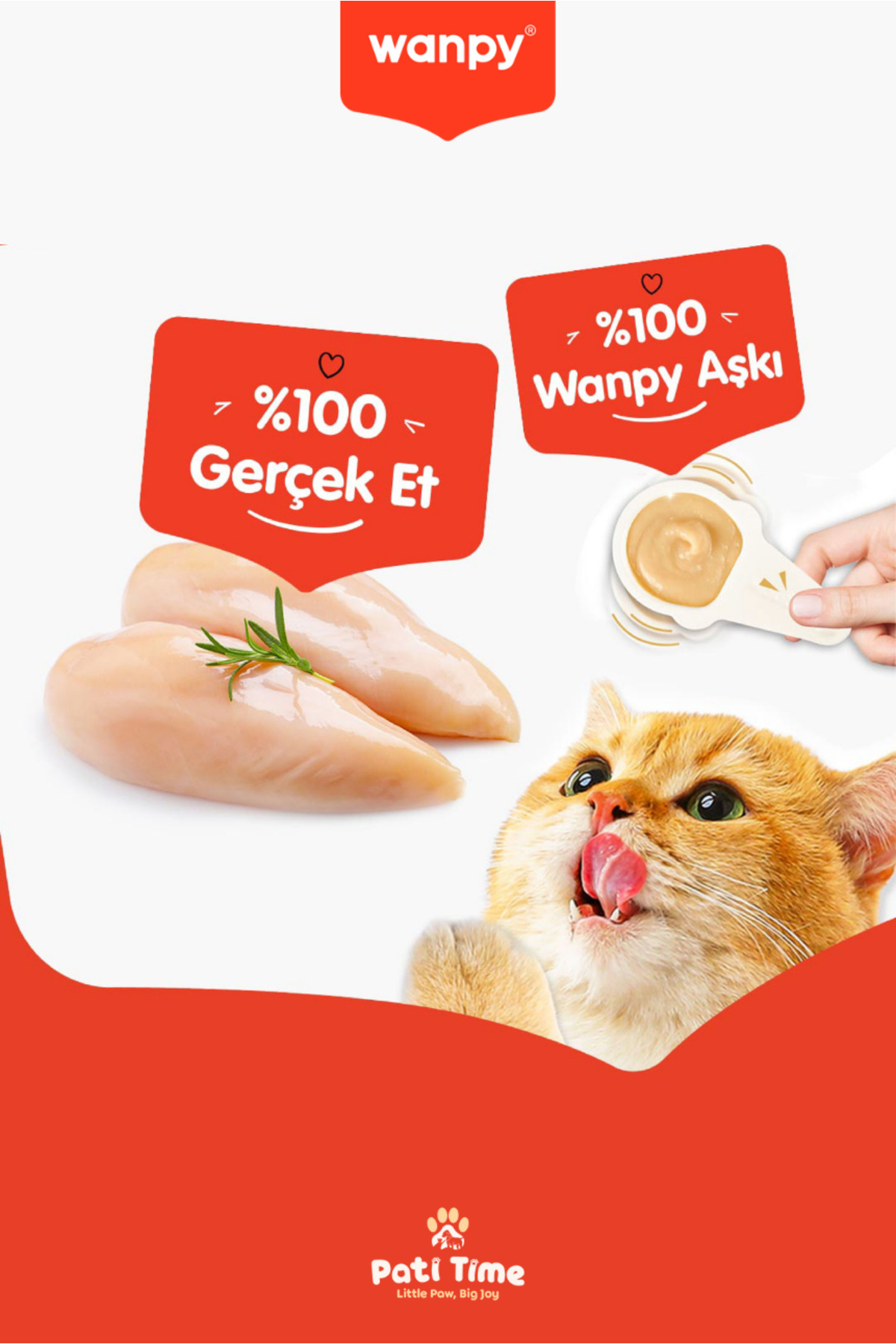 Wanpy 2li Set - Somonlu & Tavuklu Tahılsız Kaşıklı Kedi Ödül Kreması Kedi Ödülü 20 x 16gr fotoğrafı 5 (önizleme)