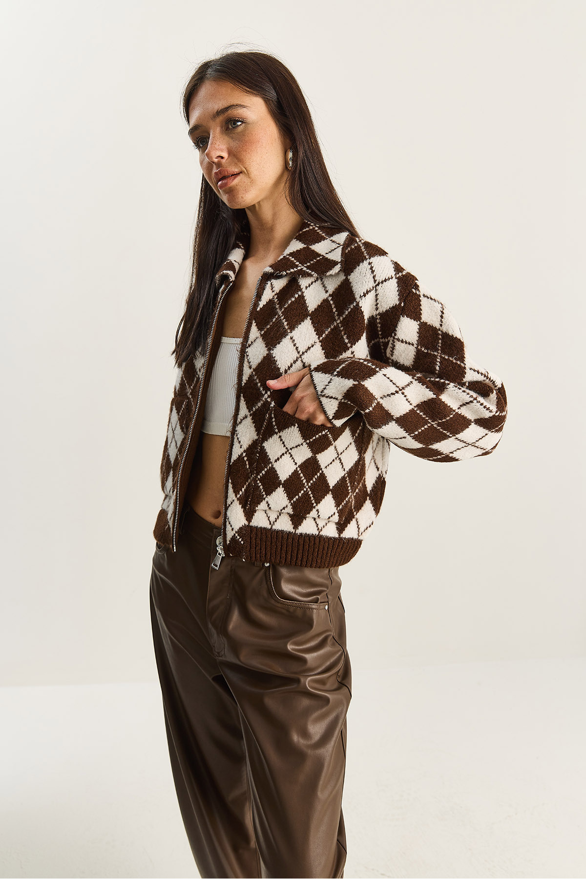 Bianco Lucci  Kadın Baklava Desenli Yakalı Fermuarlı Triko Hırka 20251099 - Görsel 3