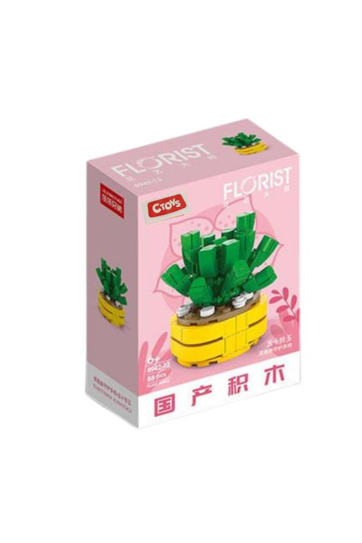 سی‌تویز بلوک‌های گل 8942-12 فنستریاریا اورانتیاکا – مجموعه ۸۸ تکه بلوک‌های گل‌سازی (۶ سال به بالا)