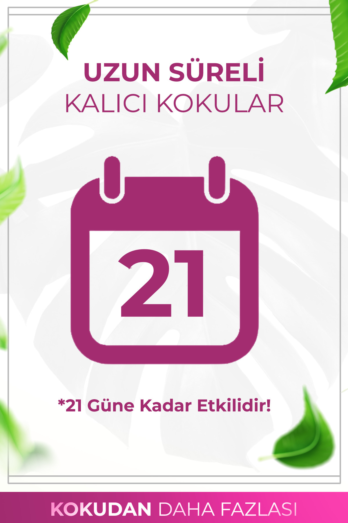 AURAN Bebek Pudrası Çubuklu Oda Kokusu Bambu Kokusu Baby Powder Reed Diffuser 50ml fotoğrafı 3 (önizleme)