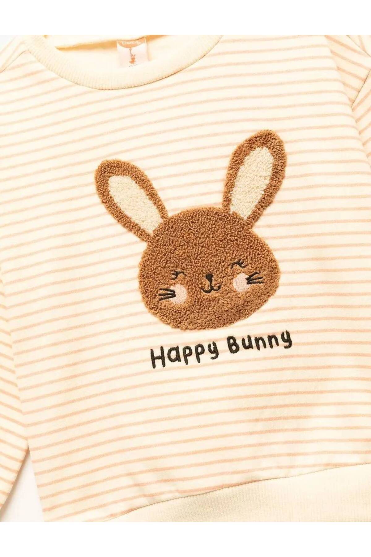 Koton Uzun Kollu Bisiklet Yaka Şardonlu Pamuklu Çizgili Sweatshirt fotoğrafı 3 (önizleme)