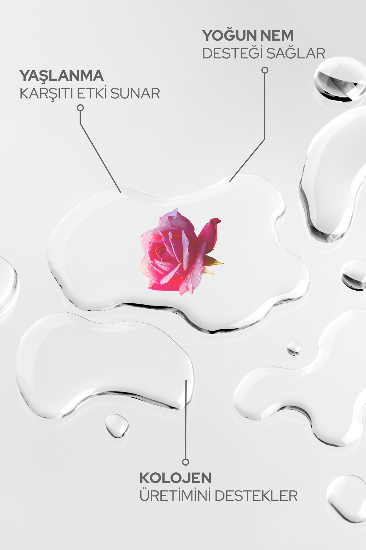 Gül Suyu Gözenek Sıkılaştırıcı Aydınlatıcı ve Tazeleyici Tonik Saf Gül Mayası Rose Water 100ml — AFLY100ML10 — تصویر 4 از 9
