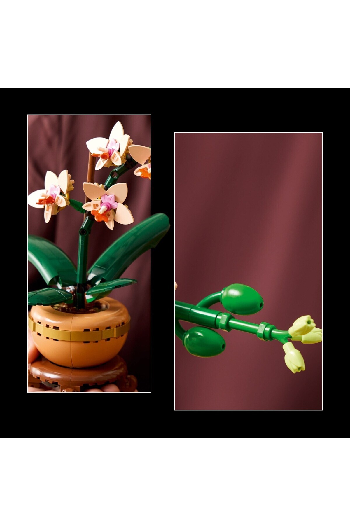 ® Botanicals مینی ارکیده ۱۰۳۴۳ - (۲۷۴ قطعه)