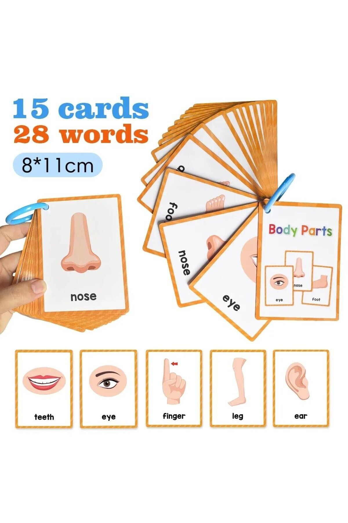 ۱۵ کارت، ۱۵ کارت، اعضای بدن کودکان، کارت‌های شناختی، اسباب‌بازی‌های مونته‌سوری، کارت‌های فلش برای کودک، آموزش کودک، E