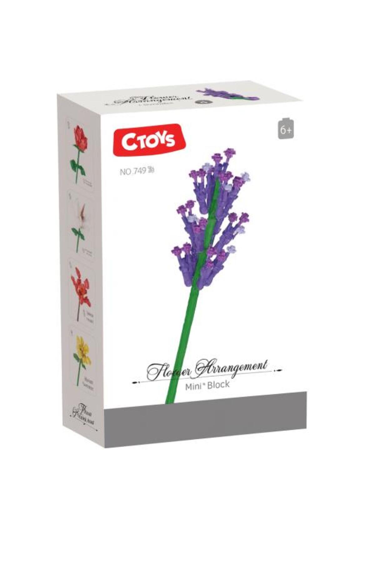 گل‌آرایی Ctoys مینی بلاک اسطوخودوس - Ctoy-749