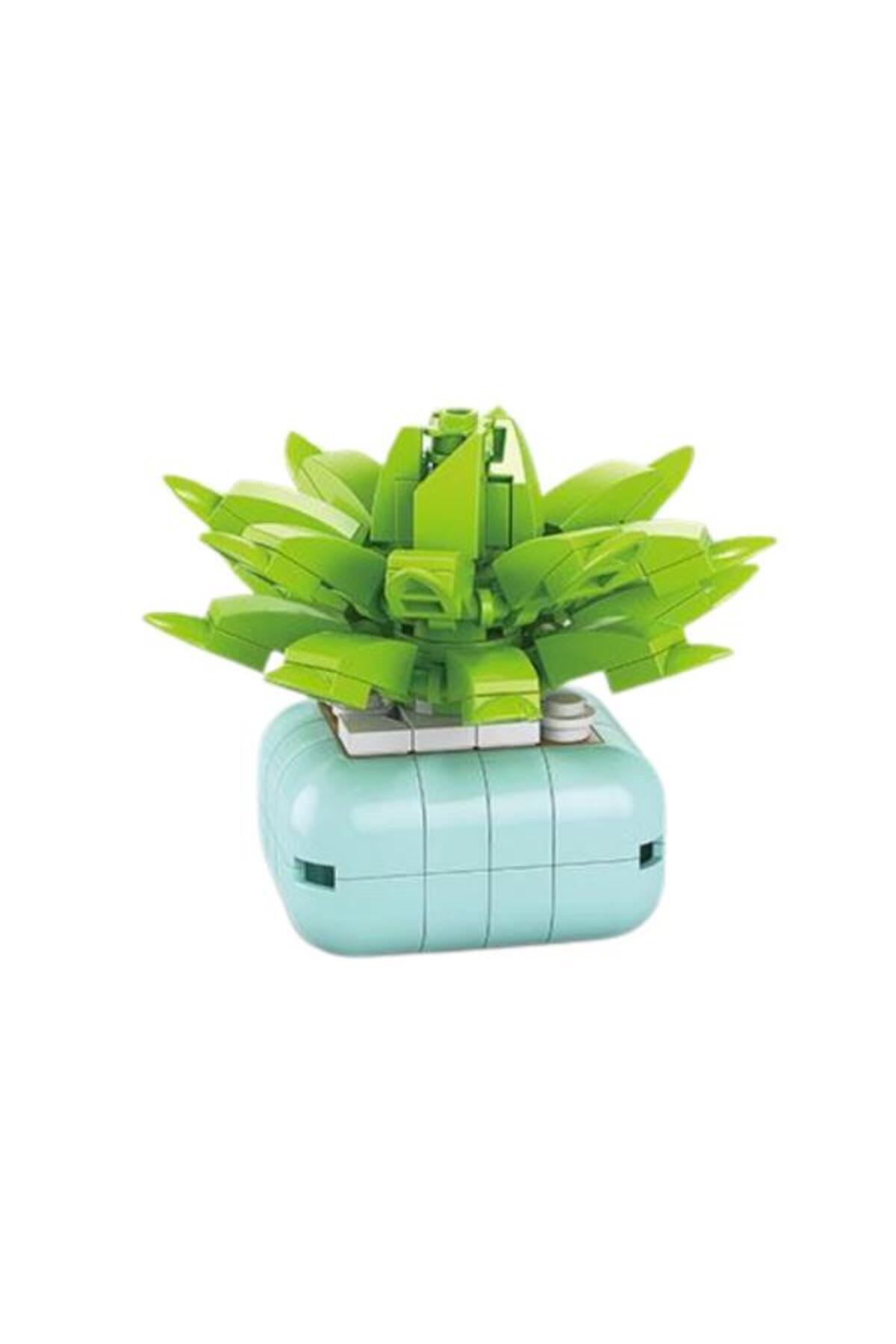 Ctoys Flower Blocks 8942-11 ساکولنت هاورتیا کوپری – ست بلوکهای ساختنی گل ۱۱۴ تکه (۶ سال به بالا)