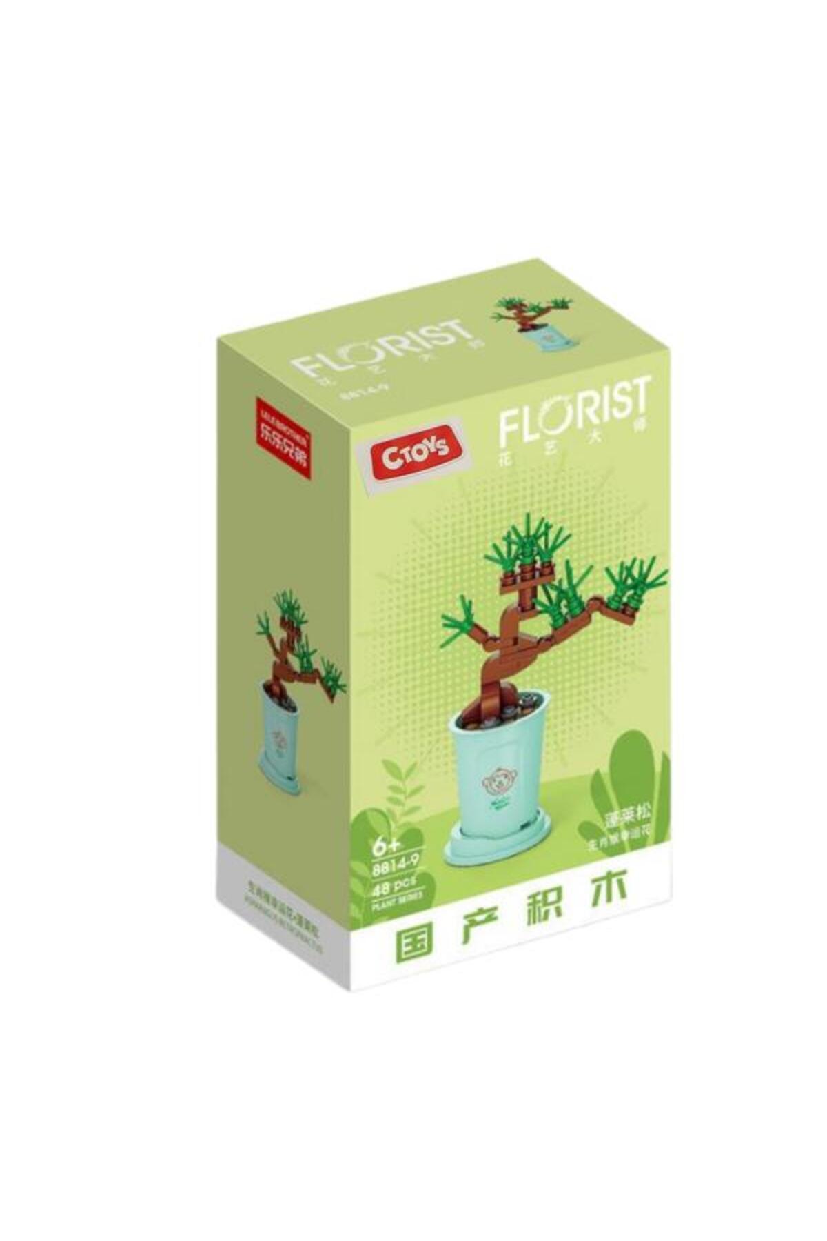 سی‌تویز بلوک‌های گل 8814-9 آسپارگوس رتروفرکتوس – ست 48 تکه بلوک‌های گل‌سازی (6 سال به بالا)