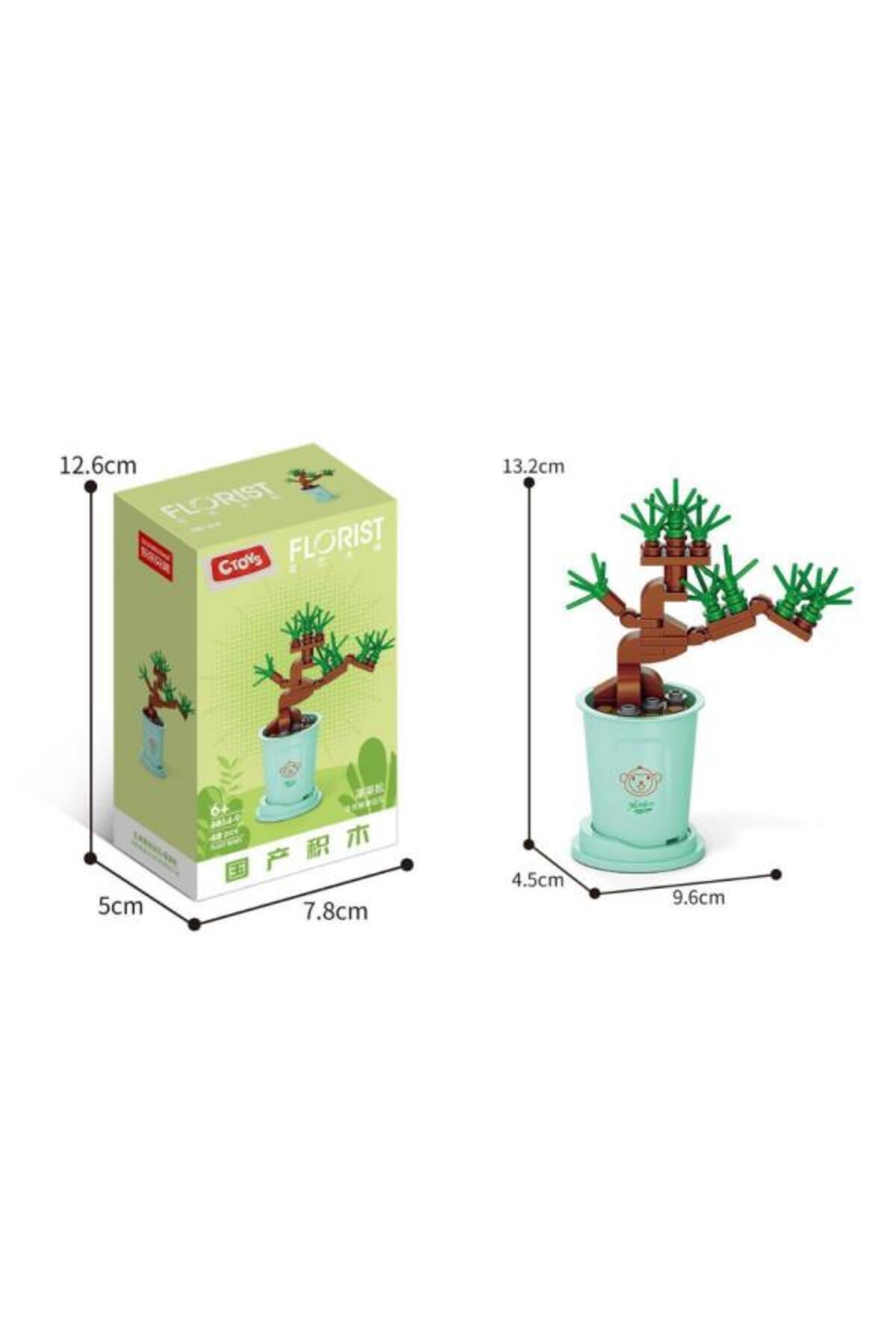 سی‌تویز بلوک‌های گل 8814-9 آسپارگوس رتروفرکتوس – ست 48 تکه بلوک‌های گل‌سازی (6 سال به بالا)