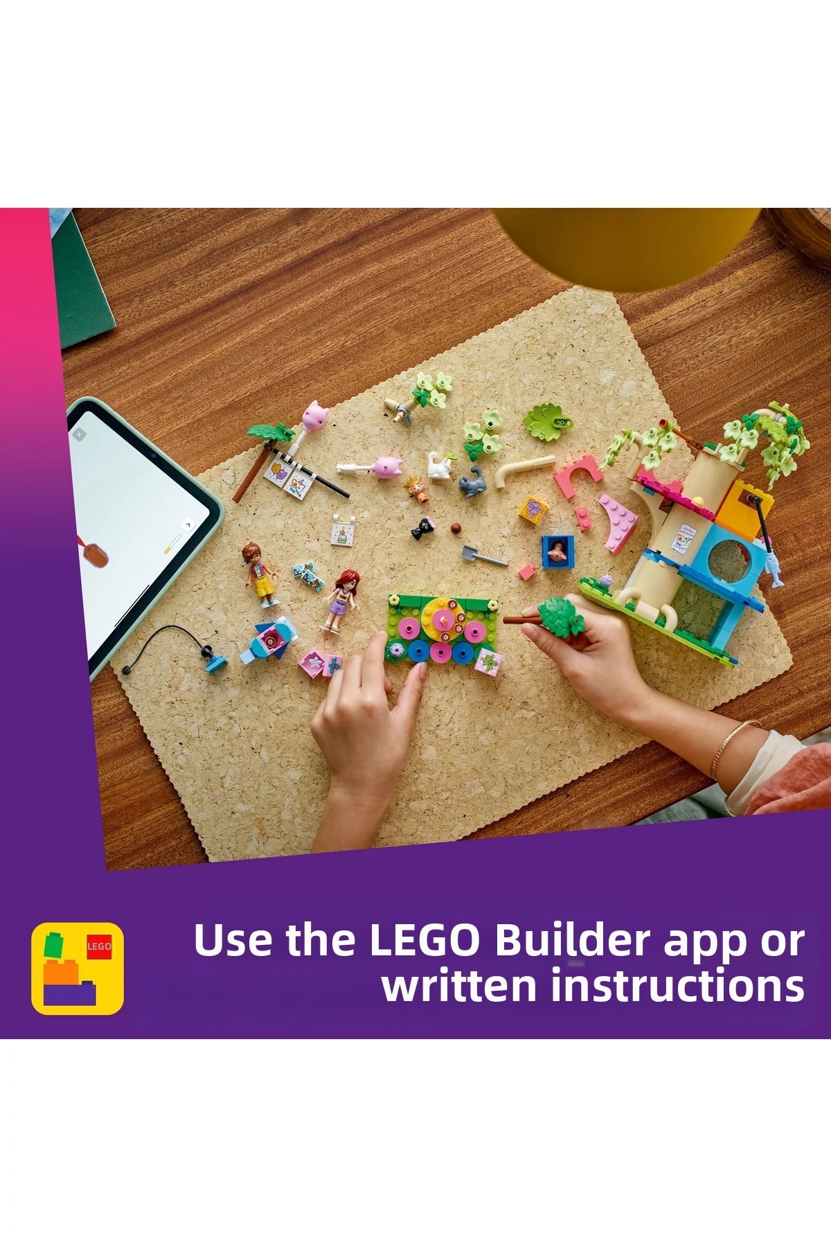 مهمانی تولد گربه دوستان و خانه درختی ۴۲۶۶۶