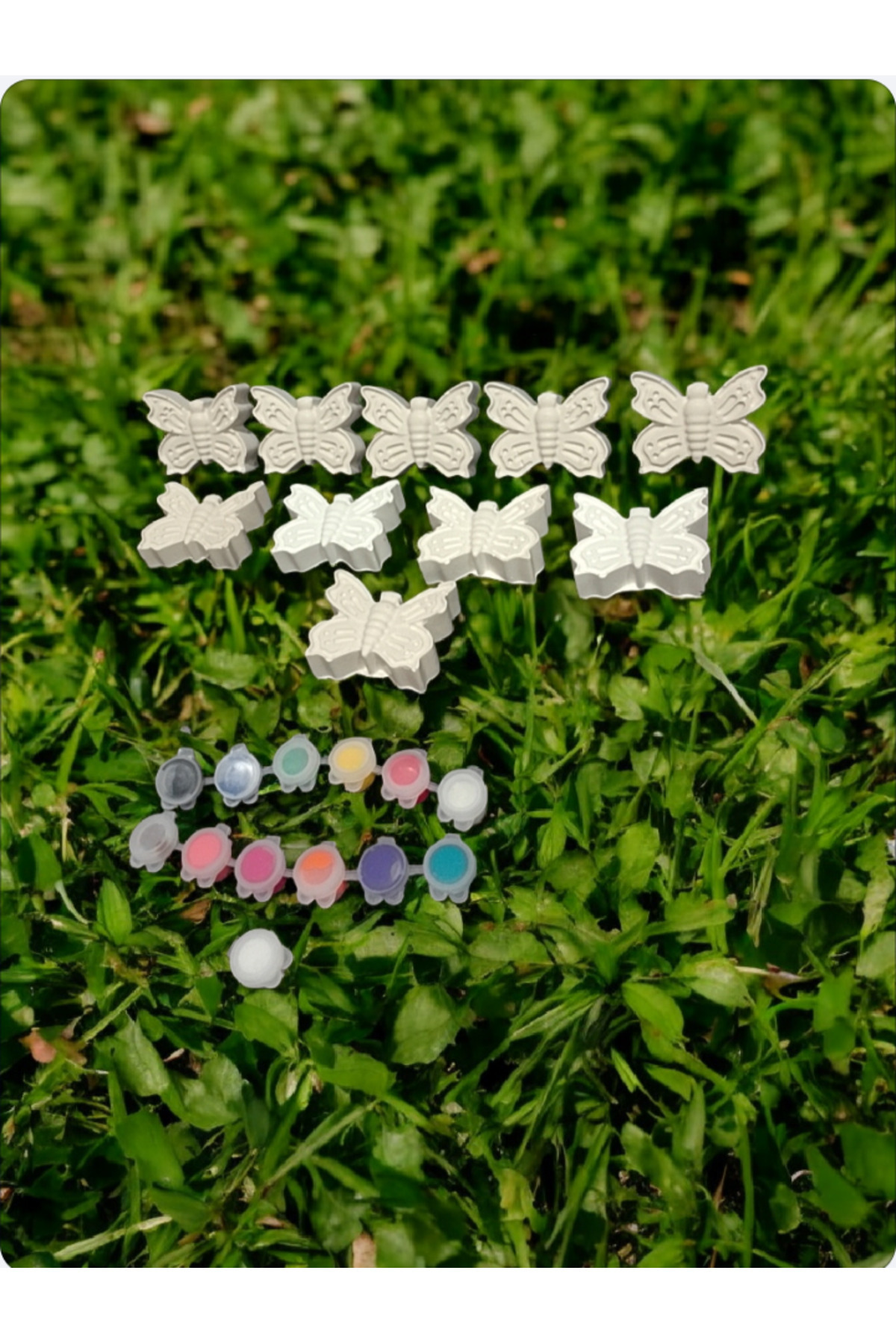 PESA PeSaPe 10'lu Kelebek Taş Boyama Seti Model 1