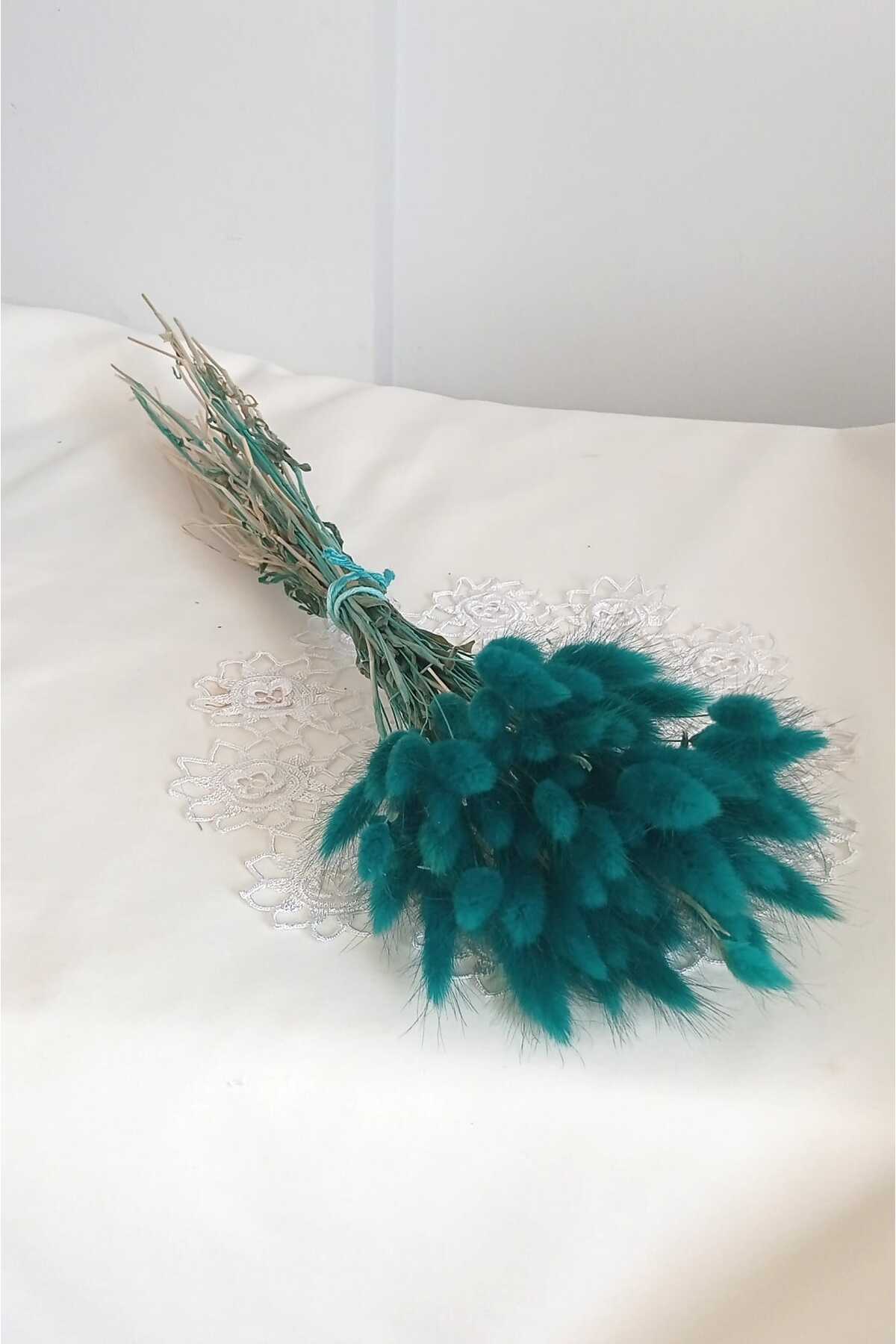 Cotton Grass Lagurus Dry Flower Green