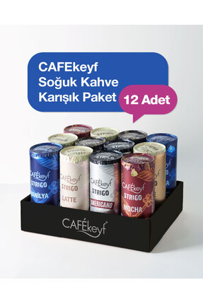 cafekeyf strigo Soğuk Kahve Tanışma Paketi 250ml. x 12 Adet