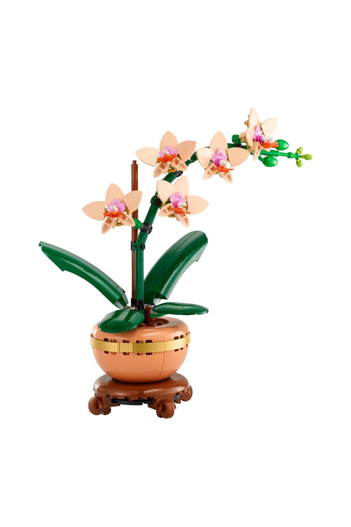 ® Botanicals مینی ارکیده ۱۰۳۴۳ - (۲۷۴ قطعه)