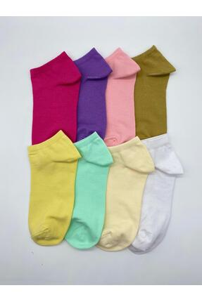 alpaca foot tech 8 ÇİFT FARKLI RENKTE PATİK ÇORAP