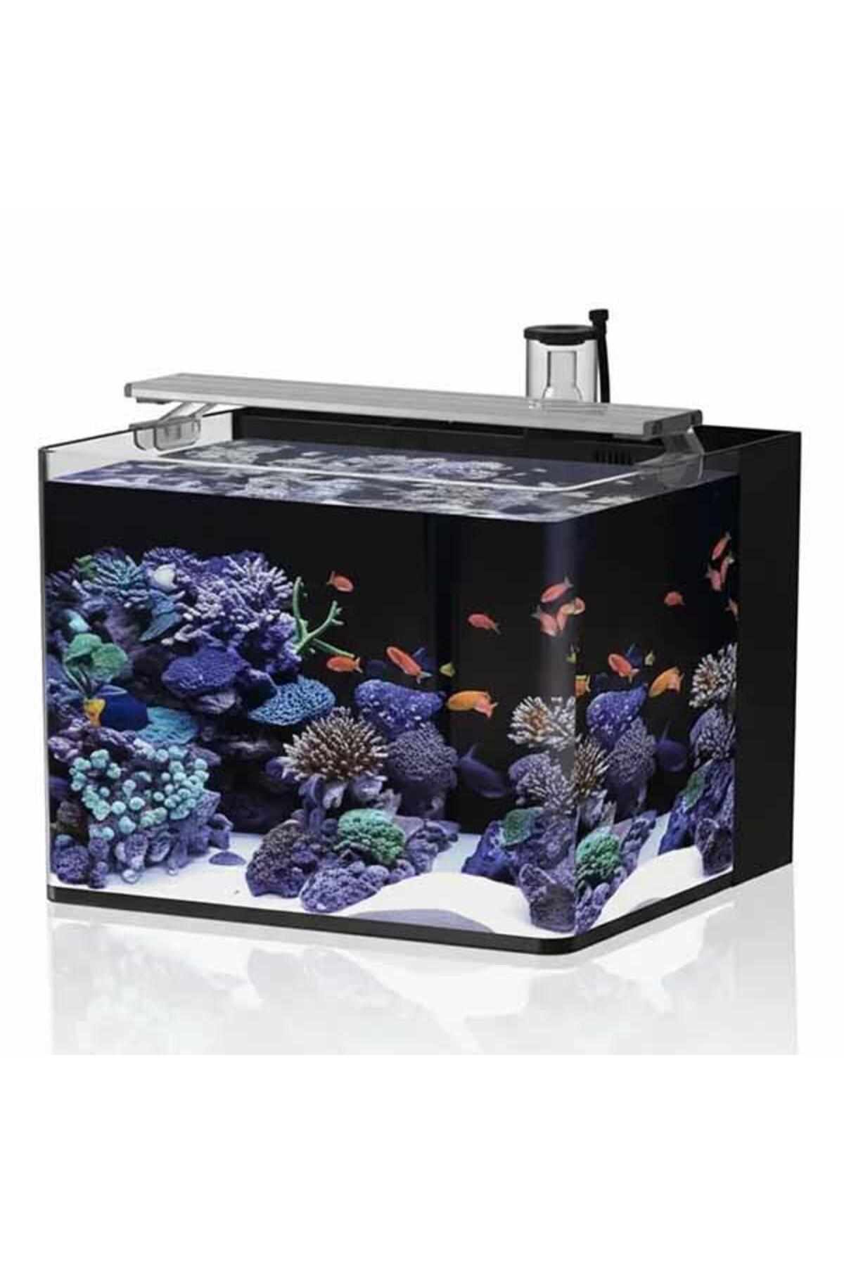 Haqos Sea Tank 38 Tuzlu Su Akvaryumu 30Lt - Fiyatı, Yorumları