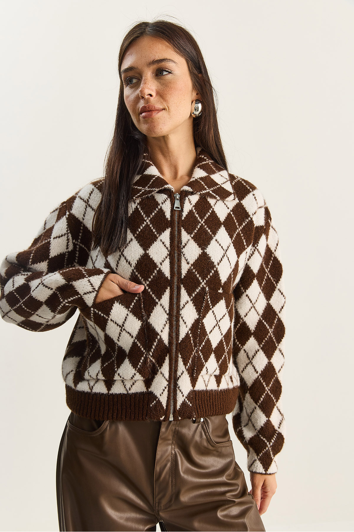 Bianco Lucci  Kadın Baklava Desenli Yakalı Fermuarlı Triko Hırka 20251099 - Görsel 6