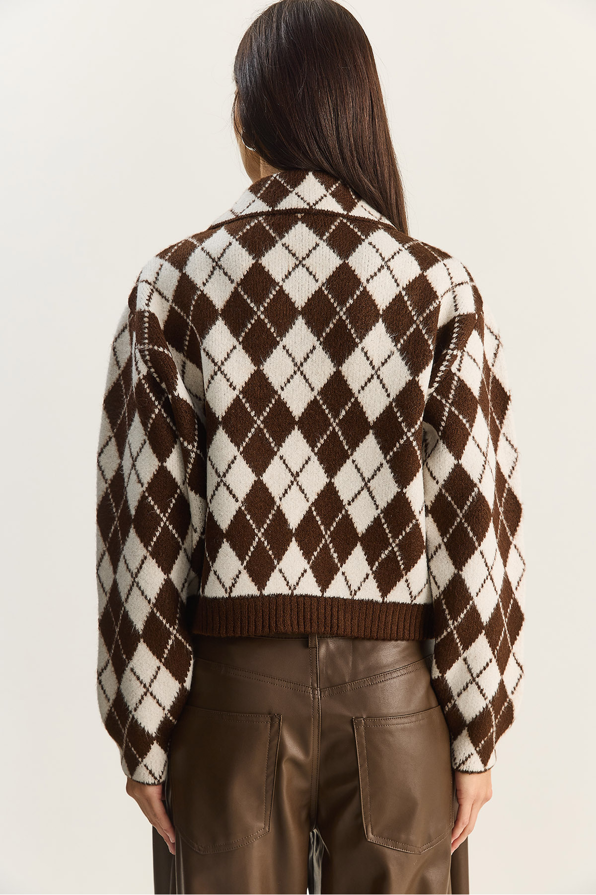 Bianco Lucci  Kadın Baklava Desenli Yakalı Fermuarlı Triko Hırka 20251099 - Görsel 8