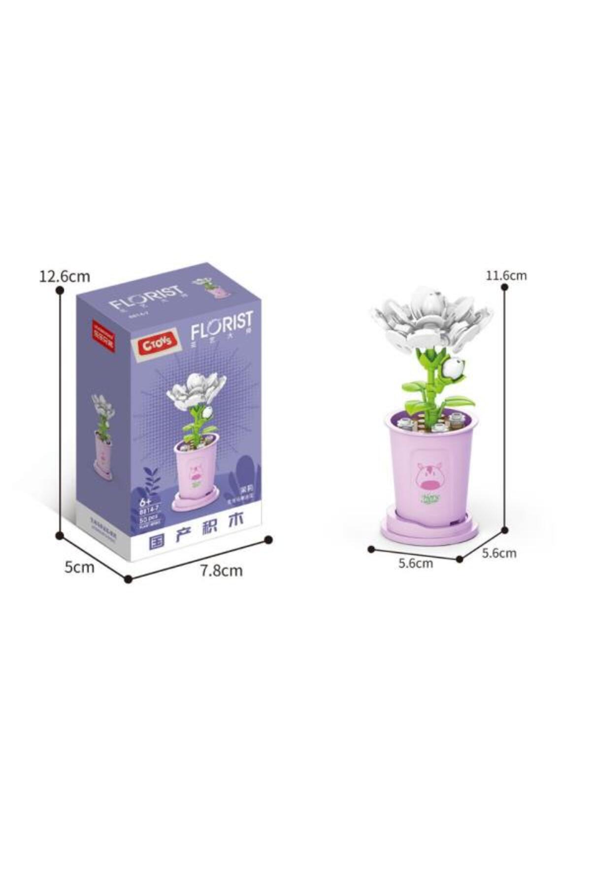 سی‌تویز بلوک‌های گل 8814-7 یاسمن sambac – ست ۵۰ تکه بلوک‌های گل‌سازی (۶ سال به بالا)