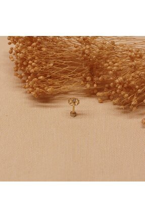 TAHAN MÜCEVHERAT Taşlı Yonca Tragus Piercing