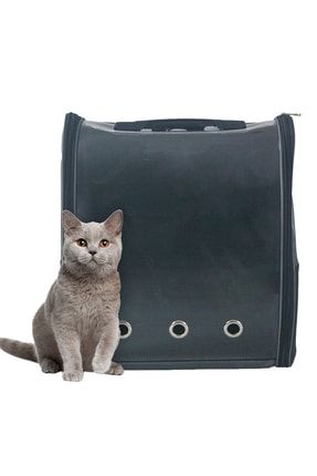 Evene Kedi Cantasi Pembe Kedi Tasima Seyahat Sirt Cantasi Evcil Hayvan Seffaf Astronot Delikli Ucakta Trendyol