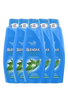 blendax yagli saclar icin bitki ozlu
