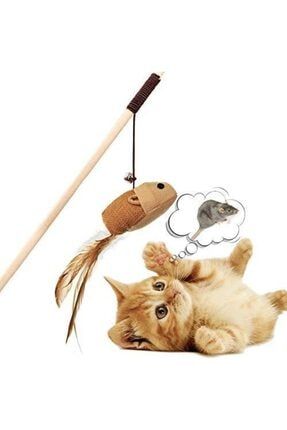 Yunusakvaryum Kedi Oyuncaklari 1 Kedi Oltasi 1 Pelus Kurmali Fare 1 Haci Yatmaz Fare 1 Zilli Top Trendyol