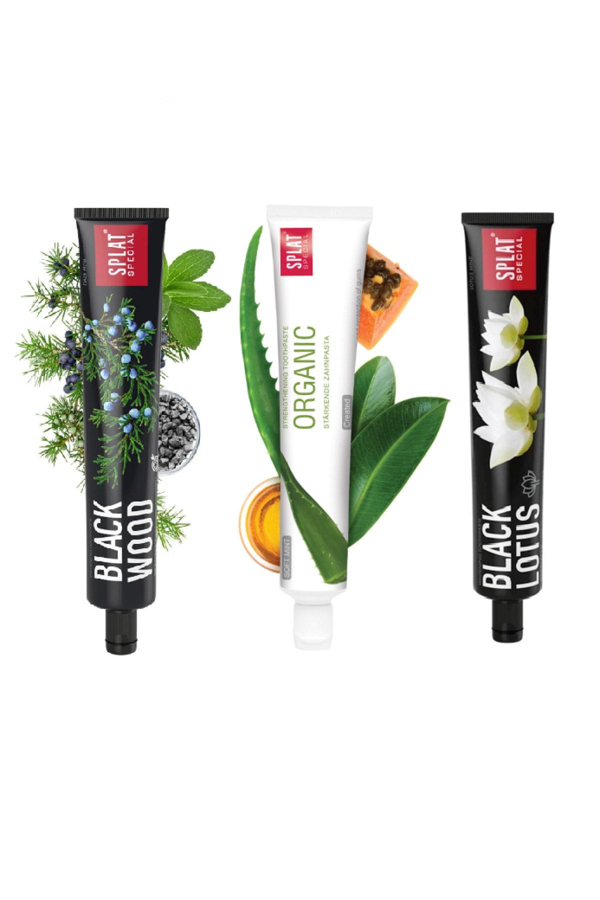 aloe verali organik dis macunu 75 ml blackwood dis macunu 75 ml black lotus 75 ml