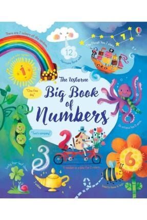 Bıg Book Of Numbers SBTK714