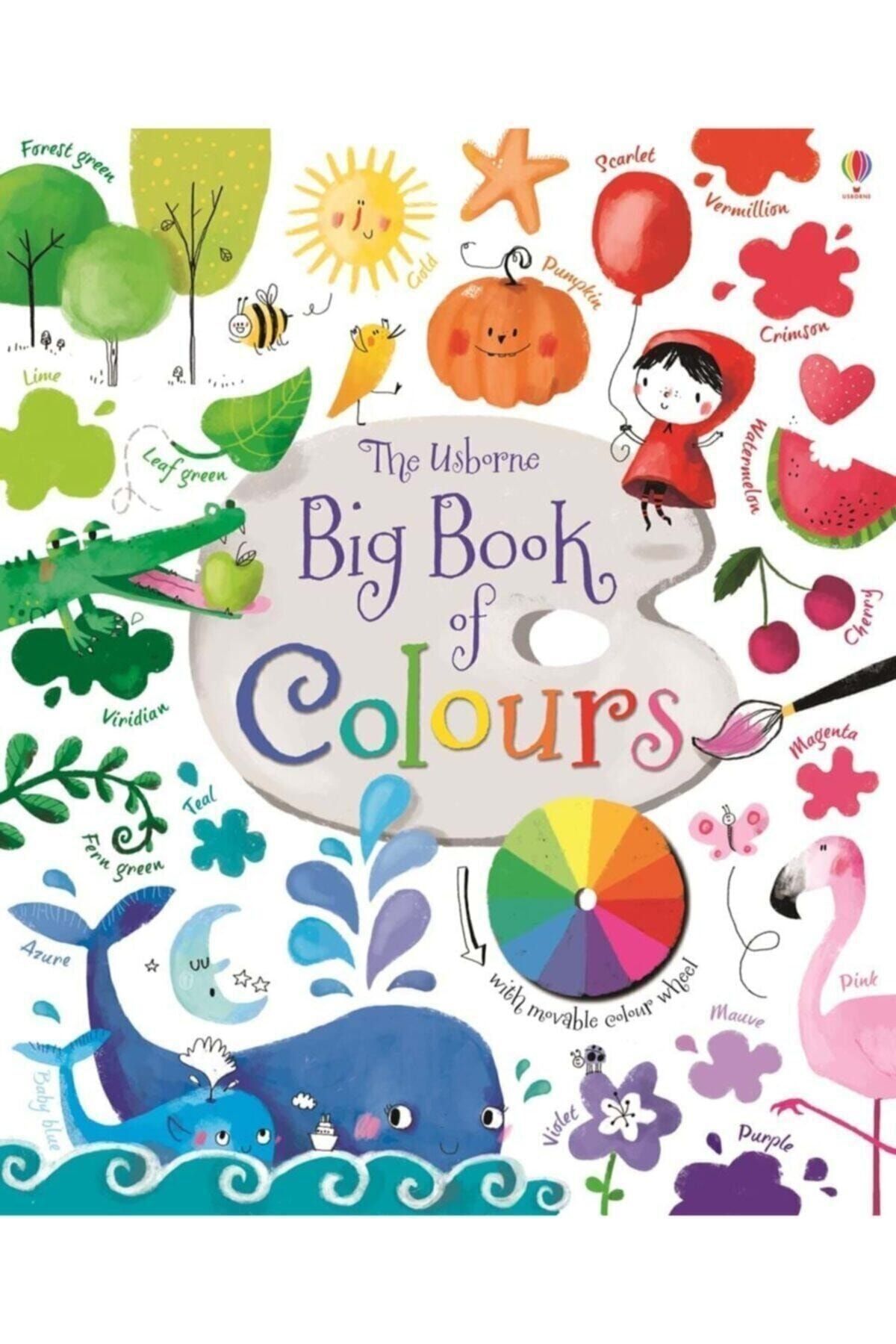 Usborne Big Book Of Colours