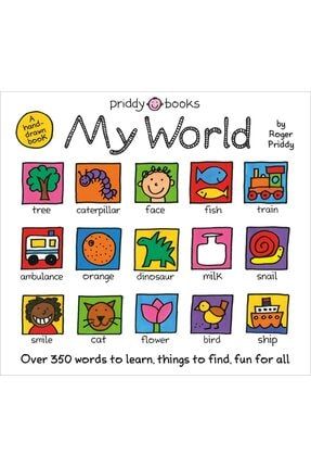 My World: A Hand-drawn Book With 350 Words To Learn, Things To Count, Lots To Find 978-0312526566
