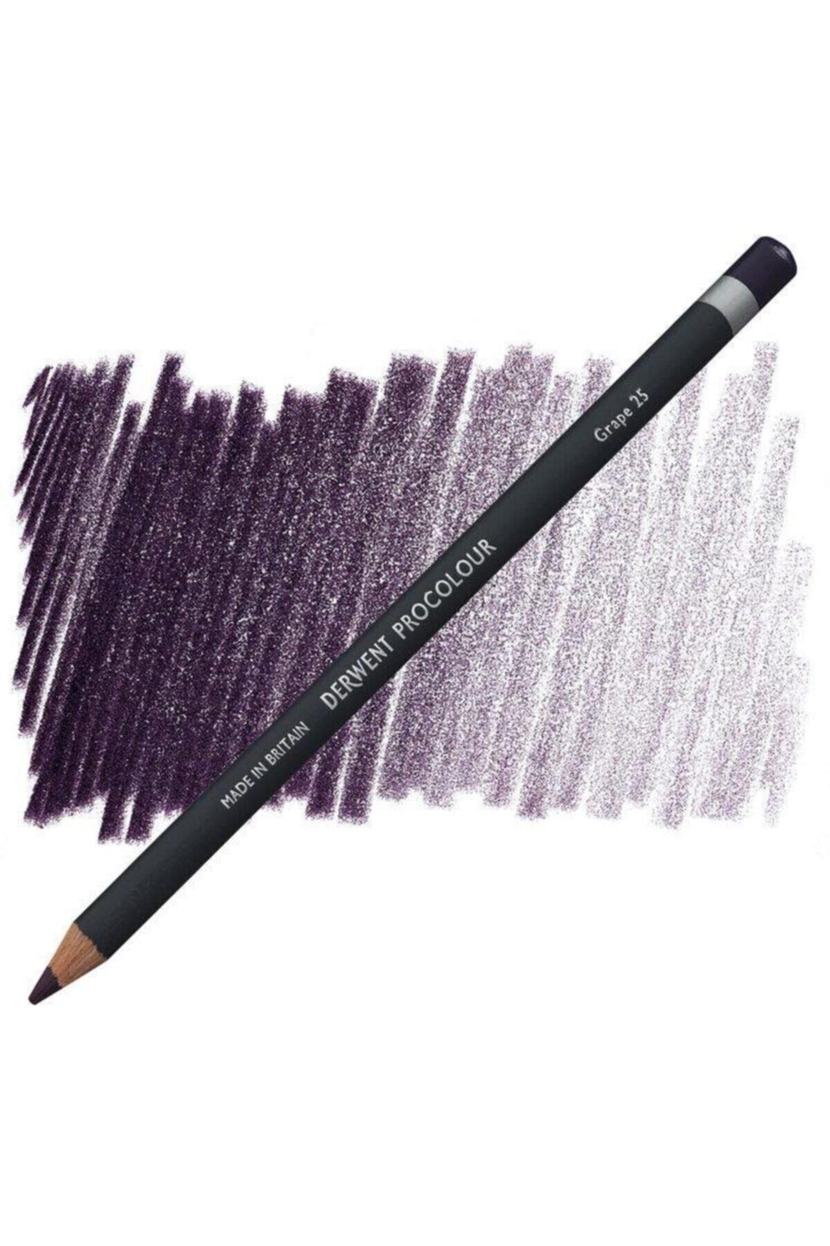 Genel Markalar Procolour Kuru Boya Kalemi 25 Grape