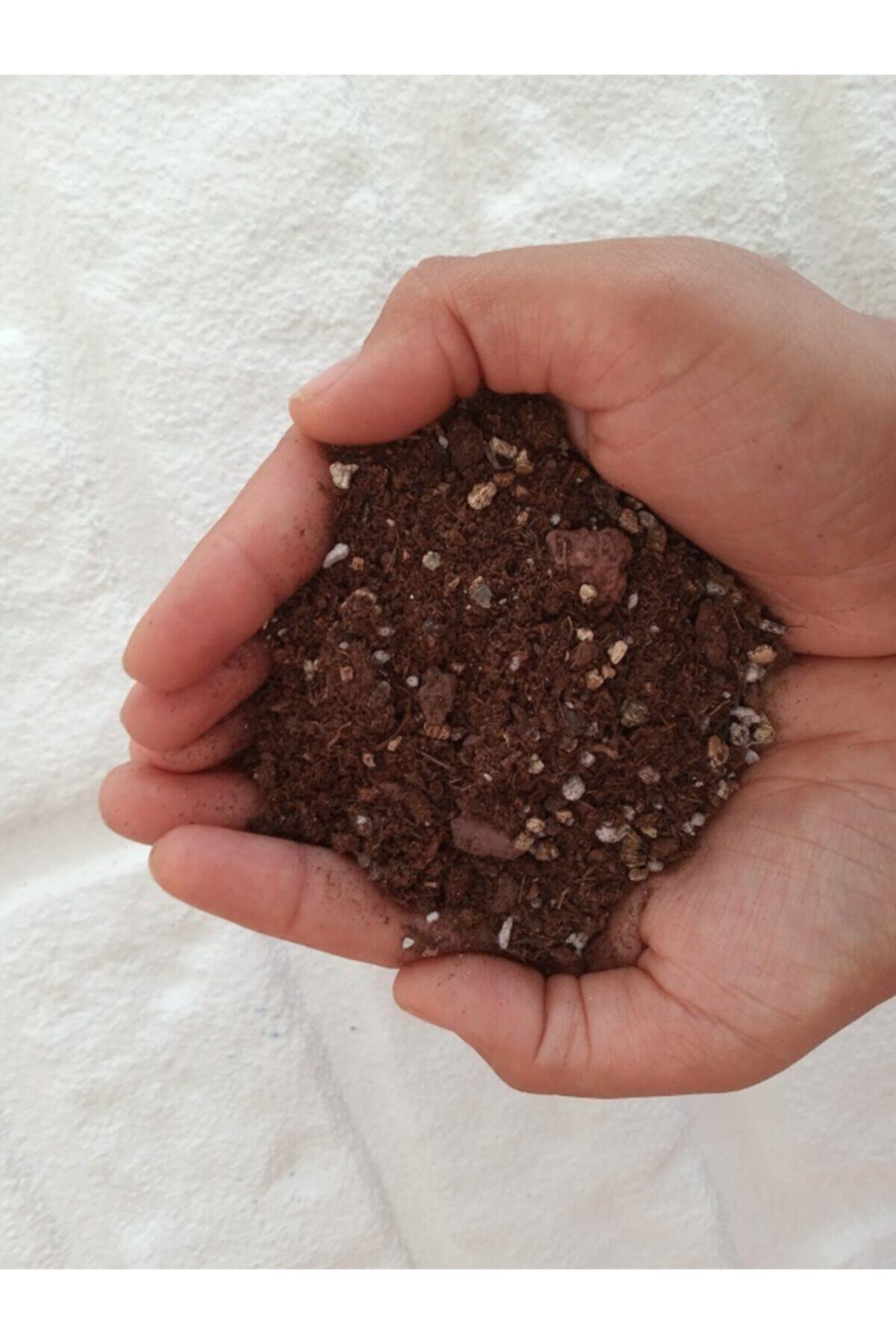 Kaktüs Sukulent Toprağı 10 Litre - Teraryum Için Uygun Toprak Ithal Torf Pomza Vermikulit Karışımlı 3