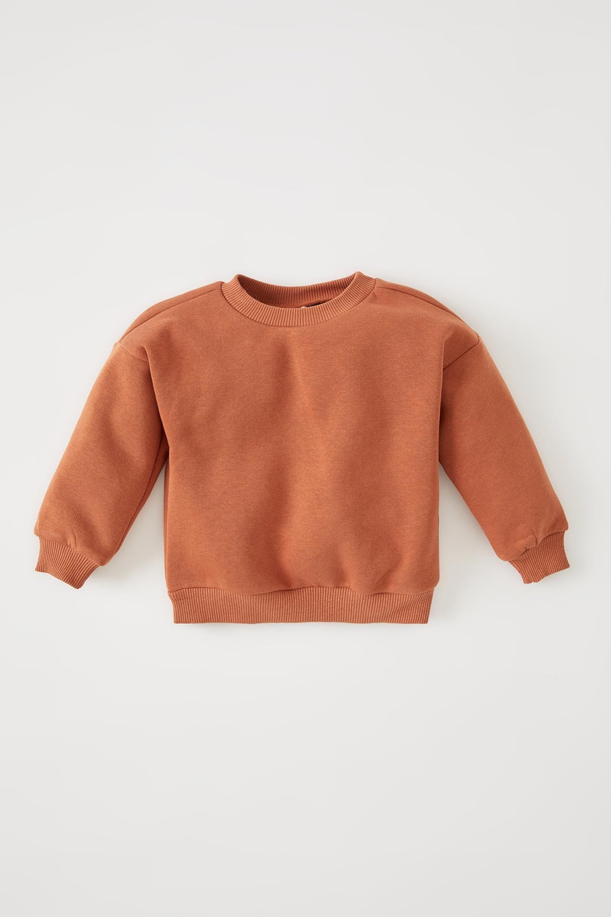 Defacto Erkek Bebek Regular Fit Sweatshirt V4451a221wn Fiyati Yorumlari Trendyol