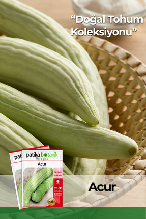 Patika Botanik 80 Adet Ata Tohumu Yerli Acur