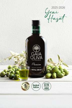 Gaia Oliva Premium Memecik 500 ml Erken Hasat Natürel Sızma Zeytinyağı (Yeni ...