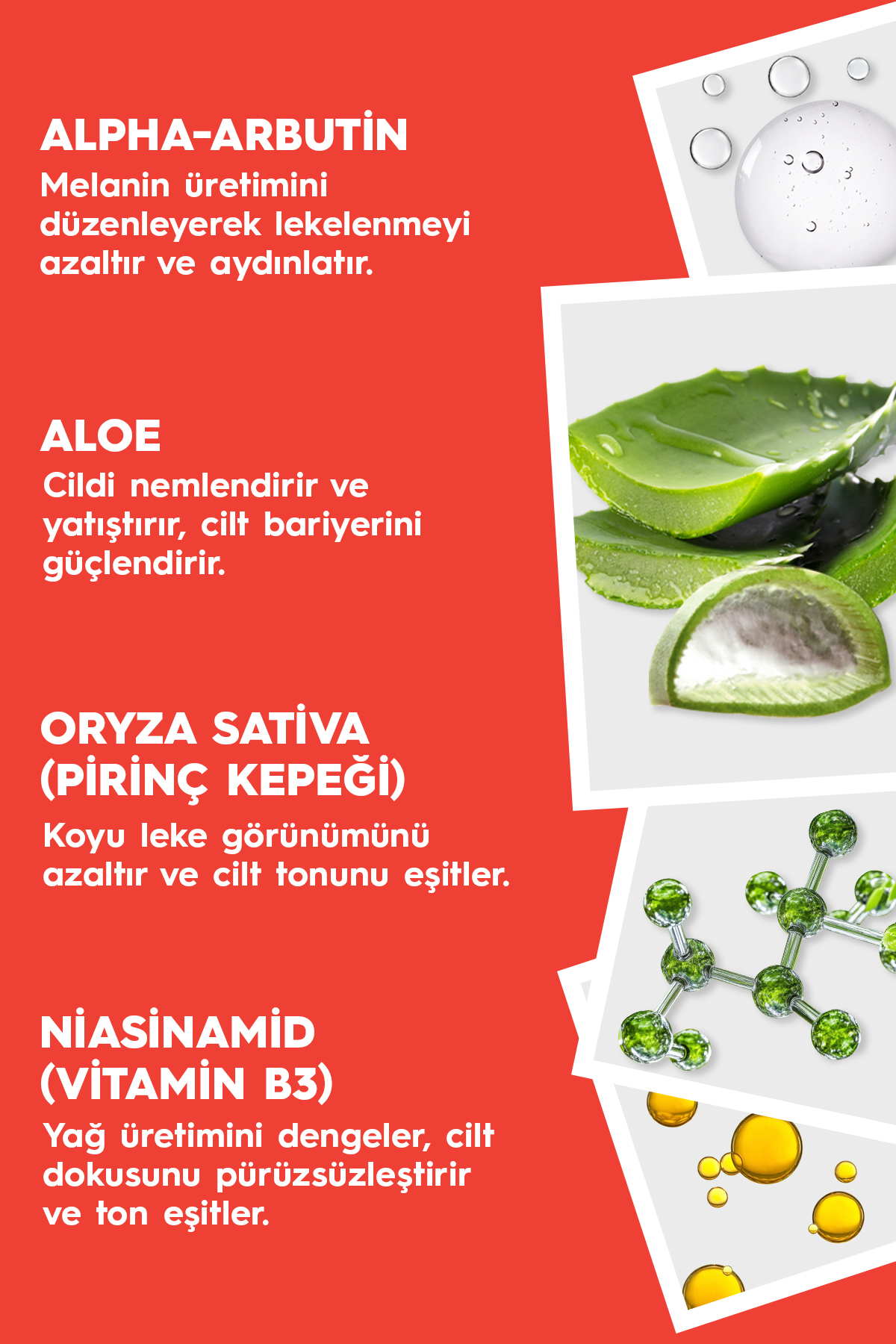 Leke Karşıtı Aydınlatıcı Alpha Arbutin Cilt Serumu 30 ml — Glow Drops — تصویر 4 از 6