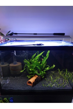 decoronay Barış Bazalt Siyah Kum 5 KG