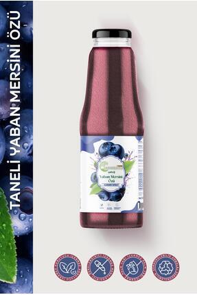 Naturetime Premium Taneli Yaban Mersini Özü 1350 gr Pestisit & Ağır Metal İçe...