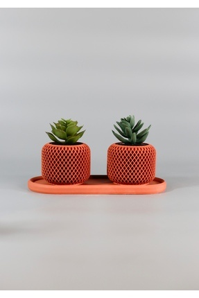 Lea Concept Premium El Yapımı Beton Terracota Sukulent Saksı Seti