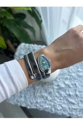 SİSSAKSESUAR Silver İçi Yeşil Çelik Yılan Saat