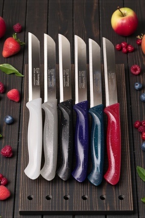 Solingen 6 LI MEYVE BIÇAĞI (KARIŞIK)