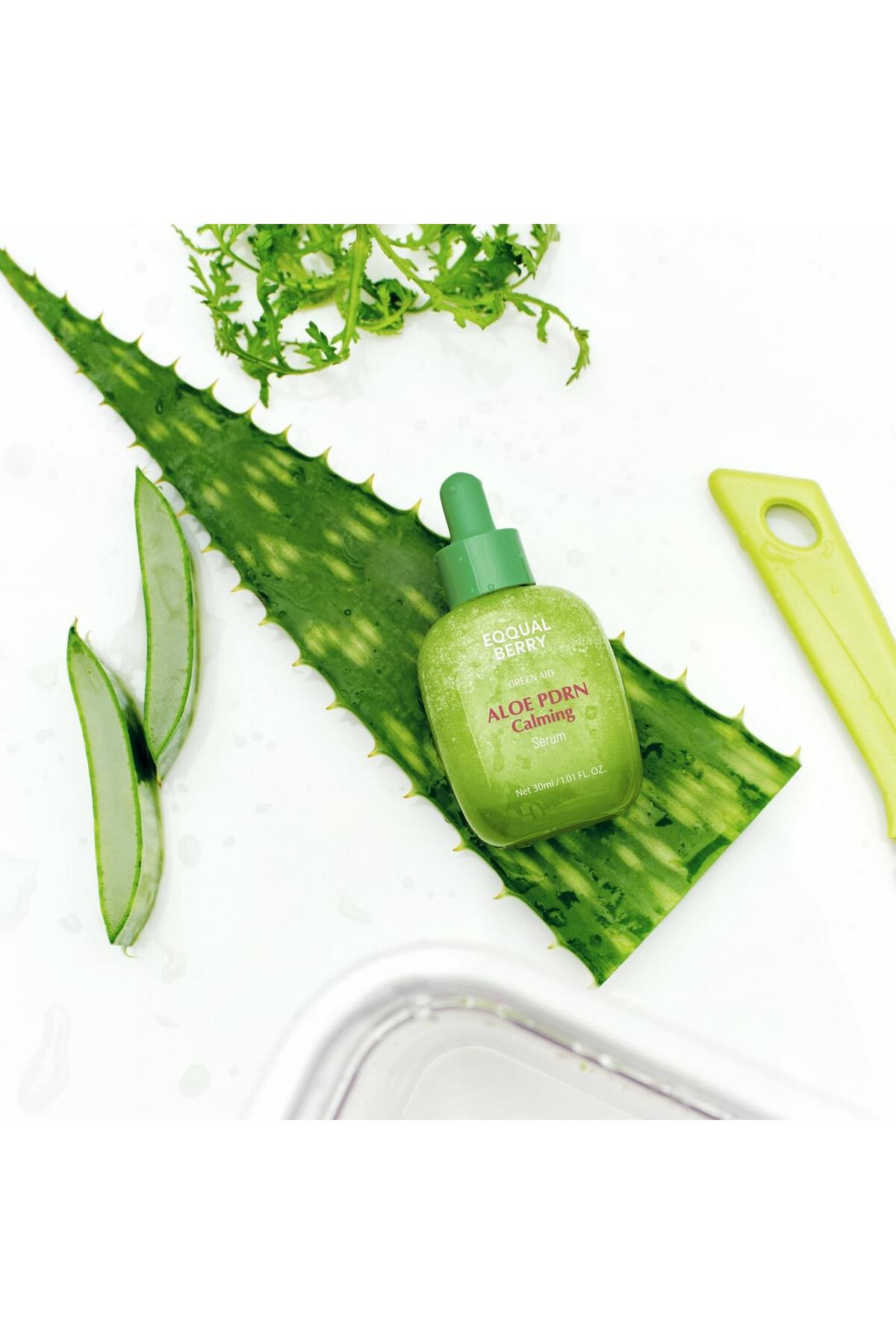 Aloe PDRN Calming Serum – Hassas ve Akneye Eğilimli Ciltler için Yatıştırıcı ve Onarıcı — EQ01ALOE — تصویر 3 از 3