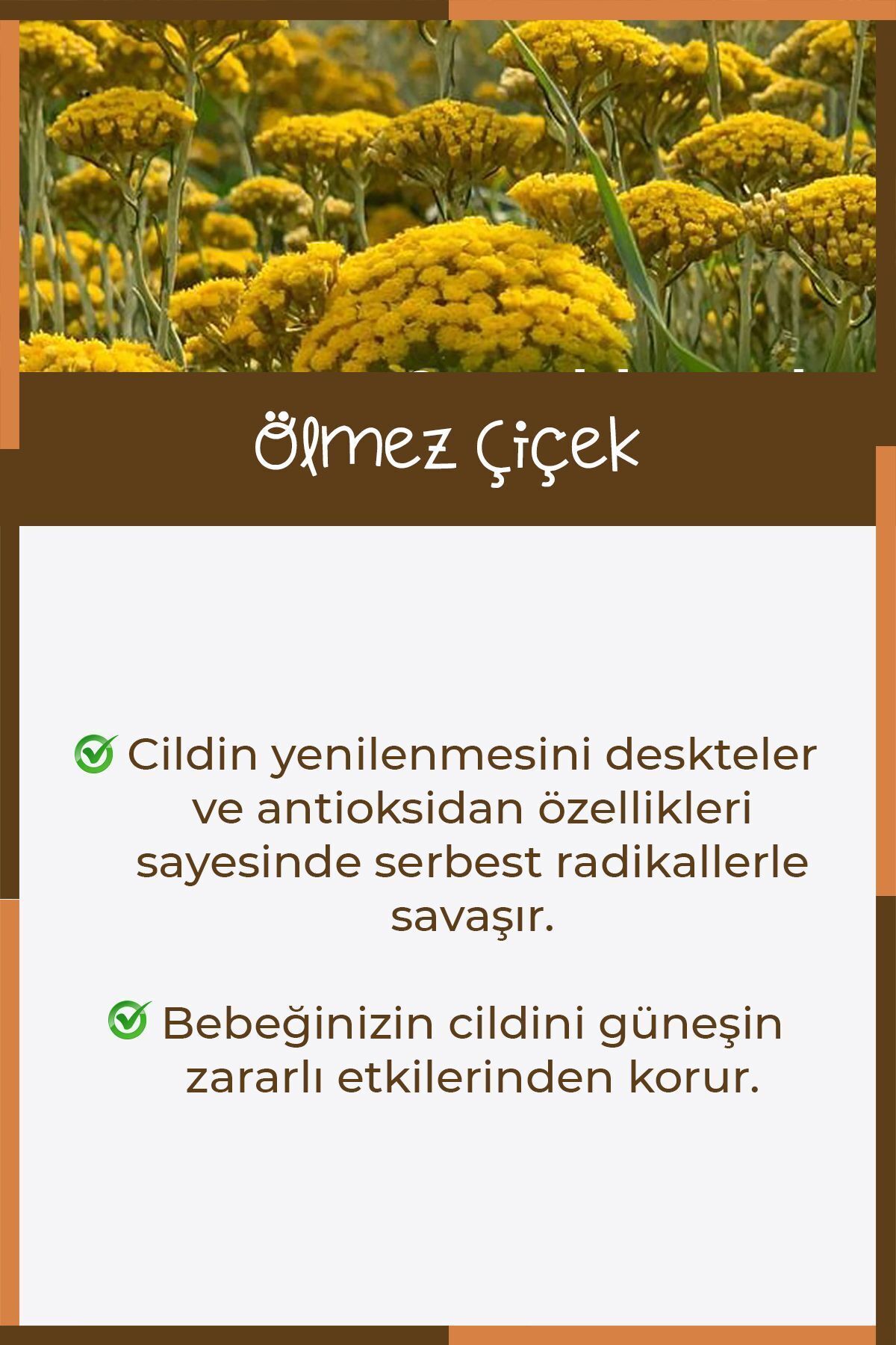 OMERYEM Shea Butter Etkili Doğal Güneş Kremi - 75ml fotoğrafı 4 (önizleme)