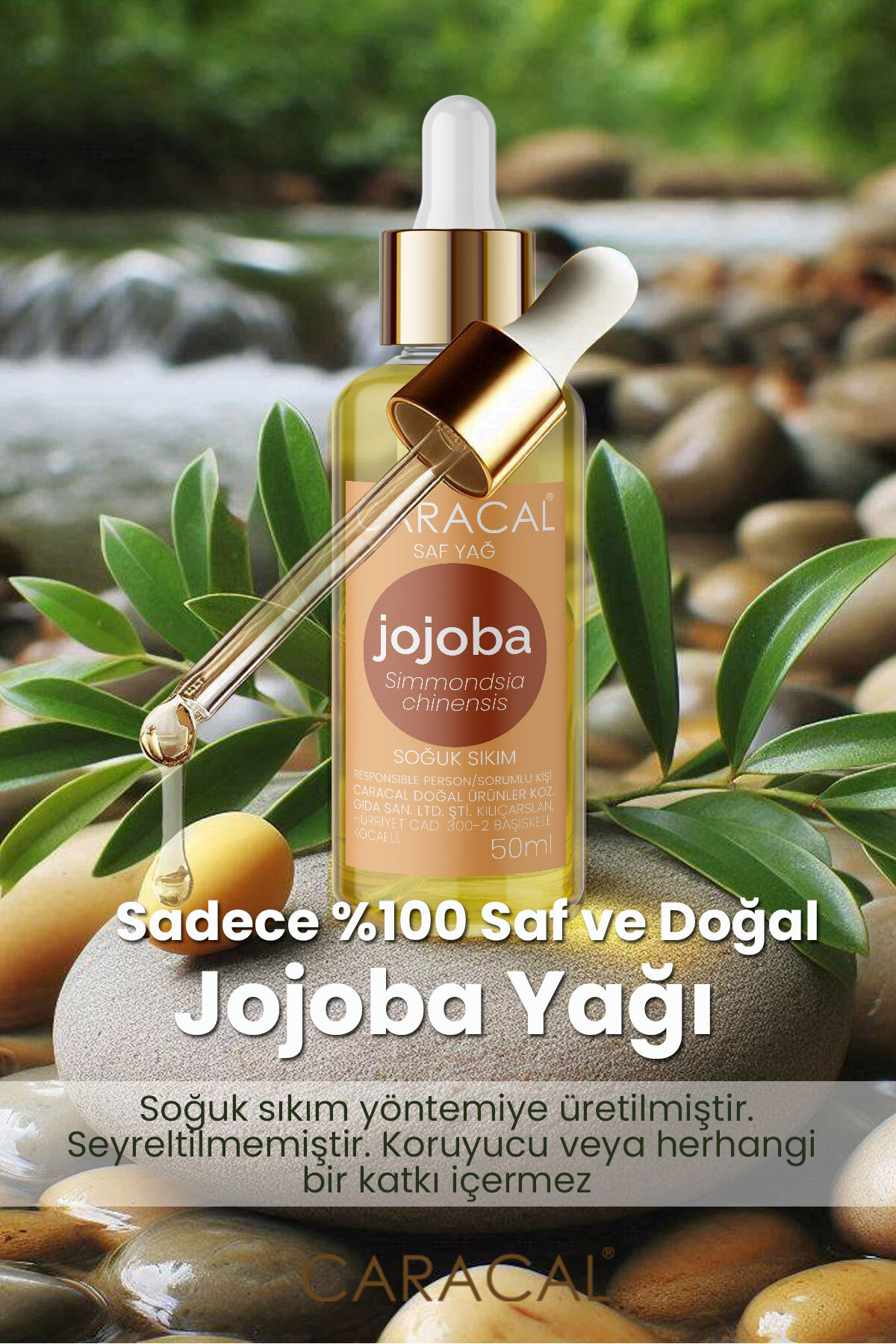 50ml %100 Saf Soğuk Sıkım Jojoba Yağı Doğal Ve Katkısız Simmondsia Chinensis Jojoba Oil — SAF JOJOBA YAĞI DOĞAL JOJOBA YAĞI OIL — تصویر 2 از 3