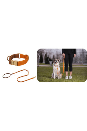 GoPawGo Charmlı Harlowe Köpek Boyun Tasması Ve Gezdirme Kayış Seti