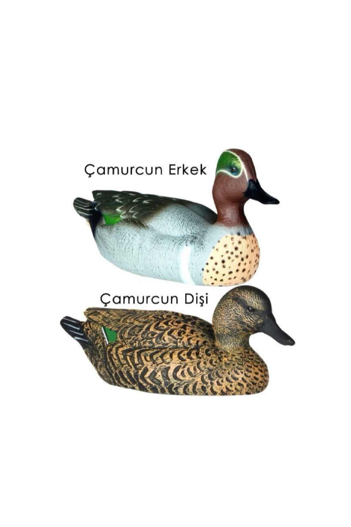 efeoğlu Dr. Duck Çamurcun (BEHRİ) Ördek Mühresi 5 Erkek 3 Dişi ( 8 Adet )