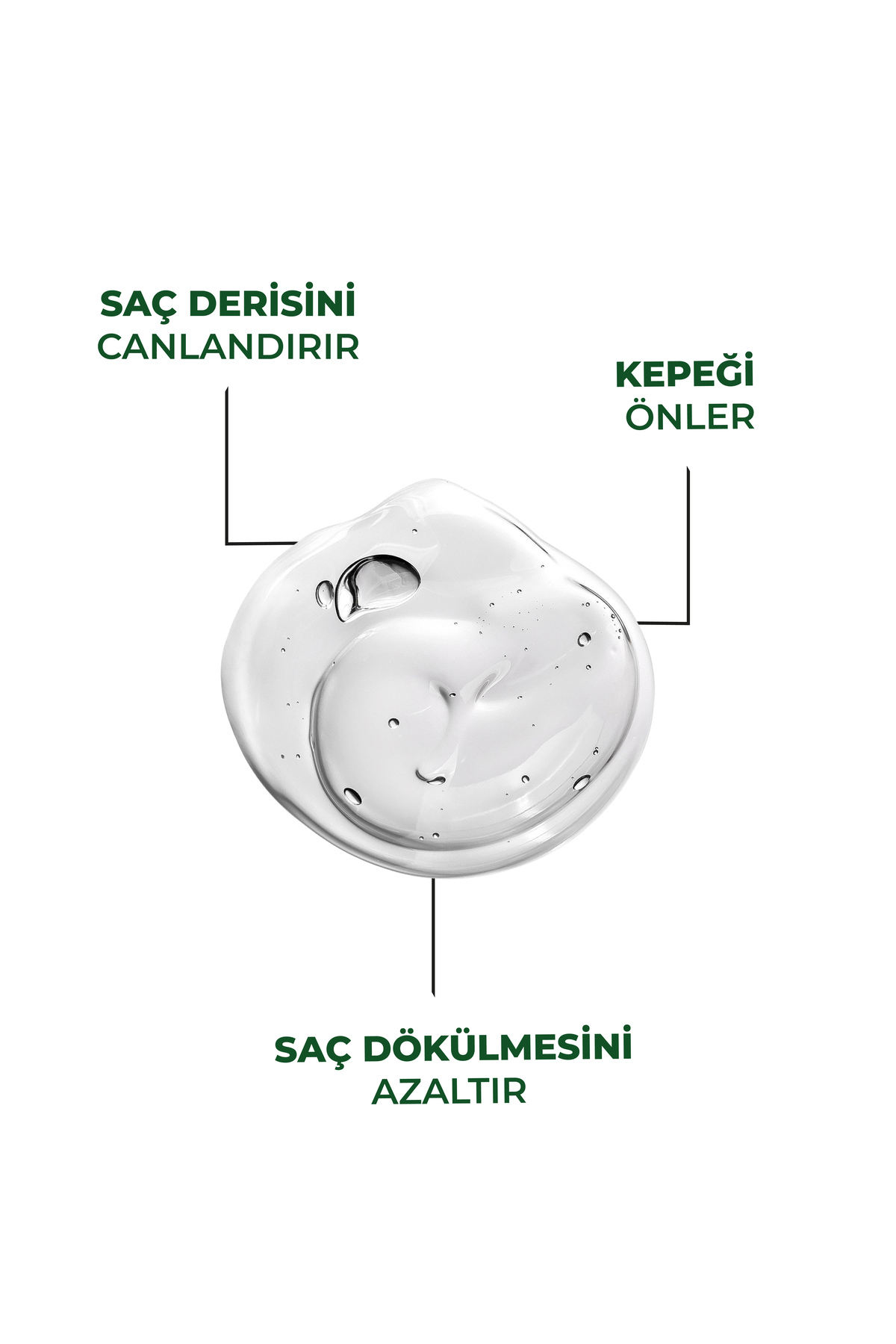 Biberiye Suyu + Tarak Hediye — DERNAS14 — تصویر 6 از 7