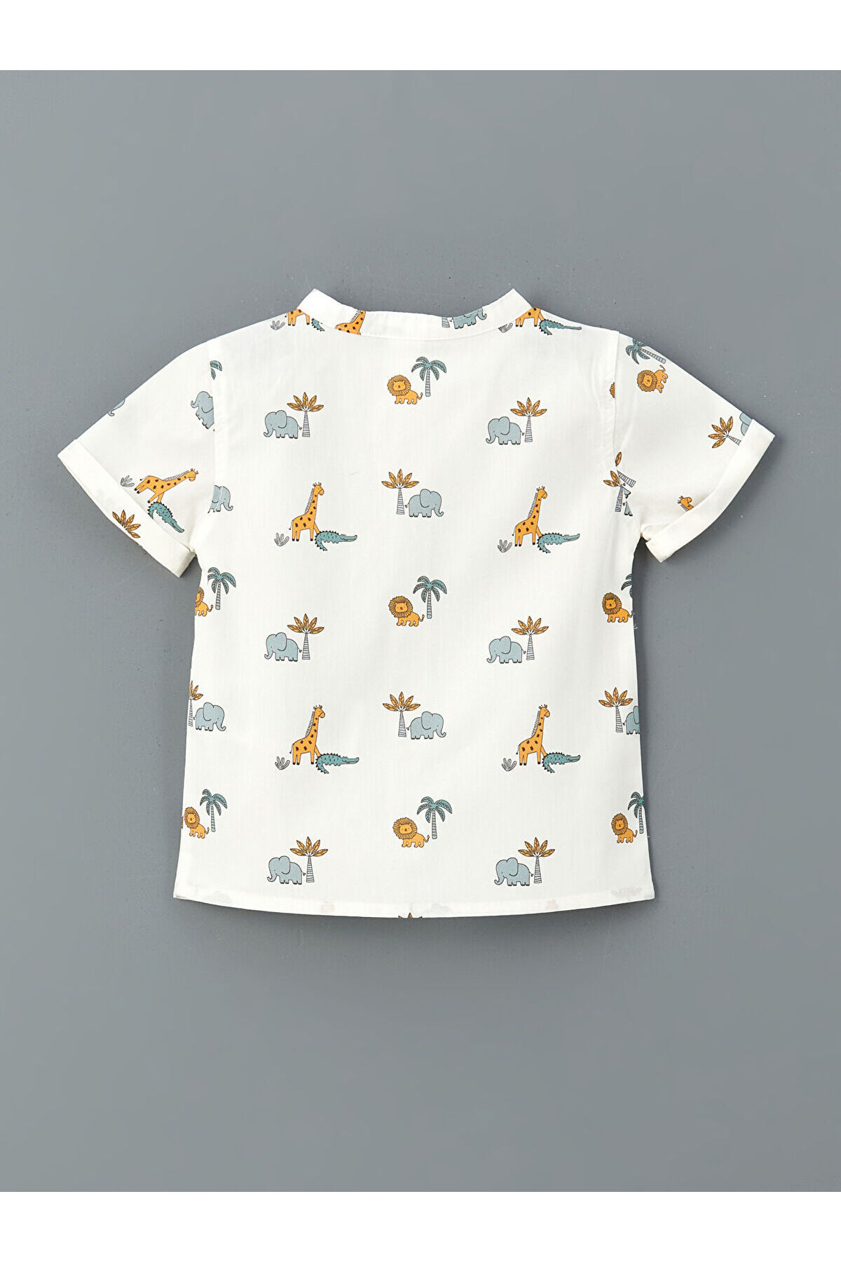 LC Waikiki Peak Yeni Sezon Hakim Yaka Baskılı Erkek Bebek Gömlek fotoğrafı 2 (önizleme)