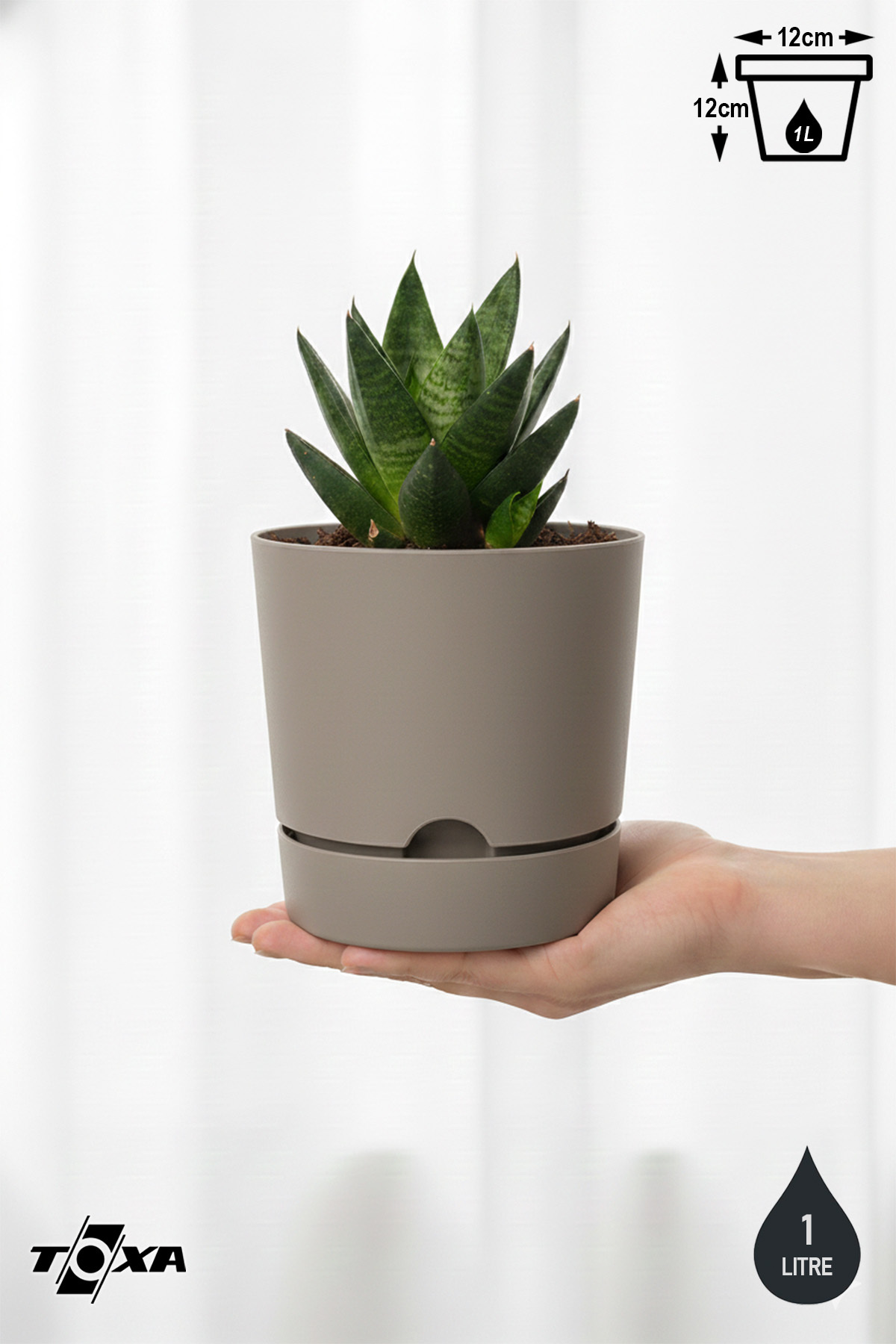 0.95 Liter Beige Begonia Flower Pot Small Size Decorative Matte Plastic Flower Pot with Plate
