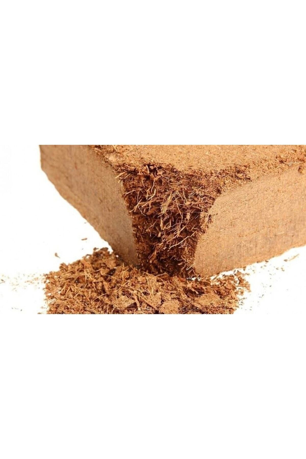 2 Pieces 60 - 65 Lt Compressed Coconut Peat - Block Imported Organic Cocopeat Kokopit - Sapling